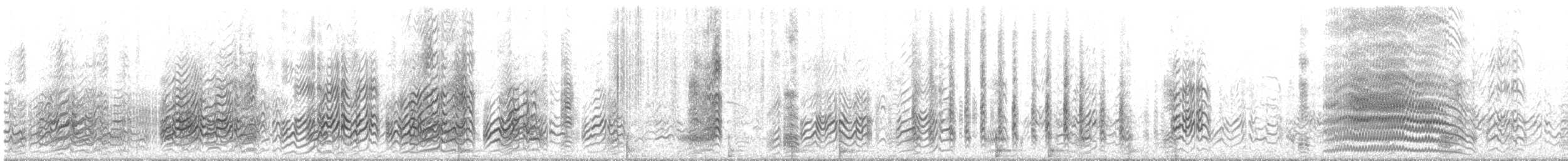 烏領燕鷗 - ML646786134