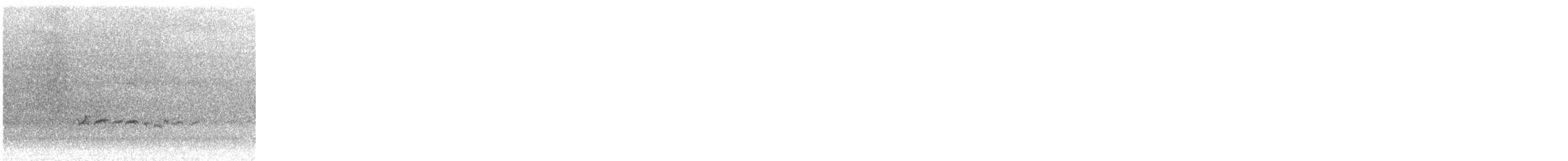 美洲黃足鷸 - ML646786167