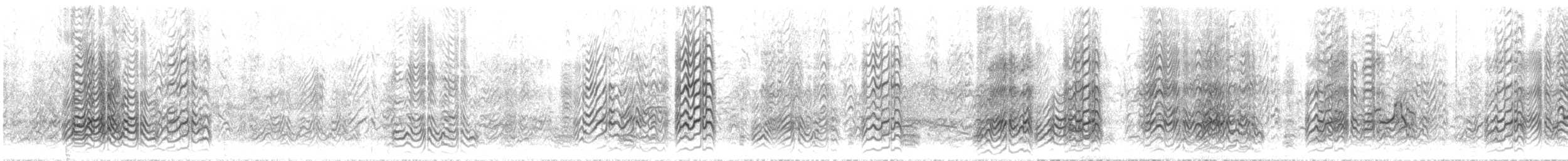 烏領燕鷗 - ML646786188