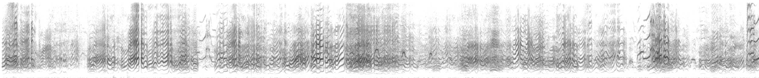 烏領燕鷗 - ML646786190