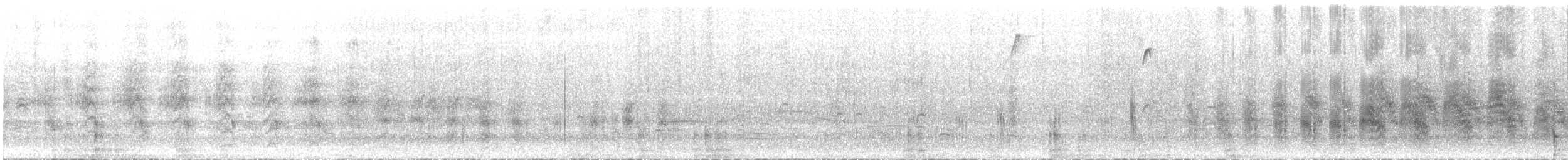 白燕鷗 - ML646786218