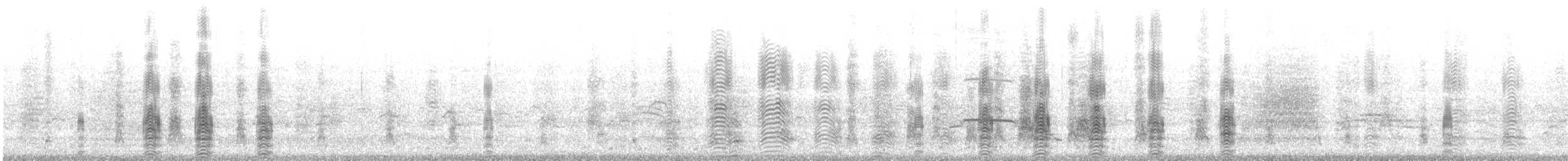 Cocos Booby (Brewster's) - ML646786225