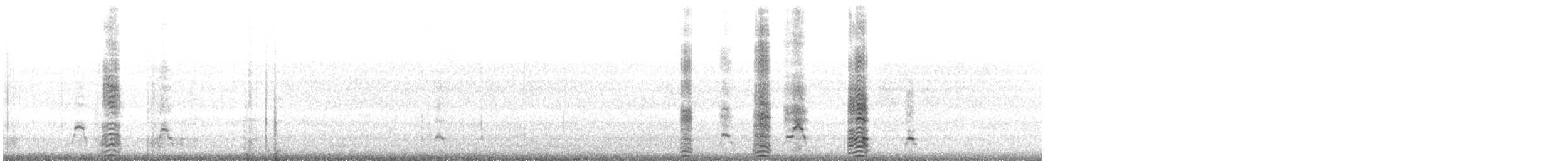 Masked Booby - ML646786633