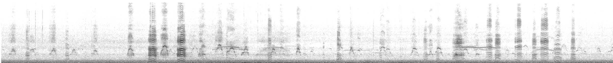 Masked Booby - ML646786634