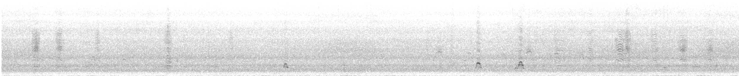 Masked Booby - ML646786635