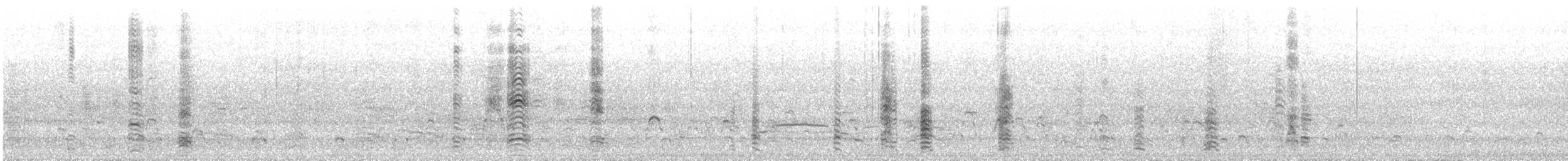 Masked Booby - ML646786636