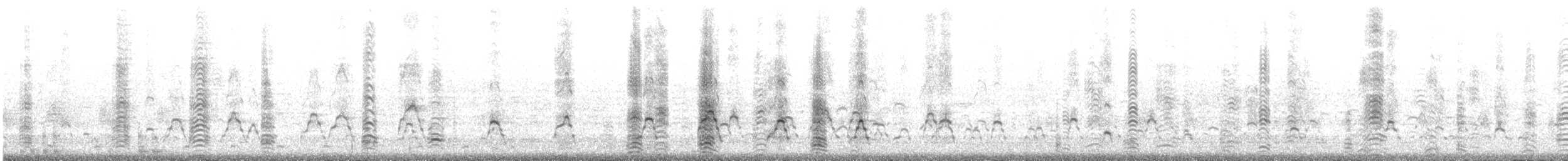 Masked Booby - ML646786644