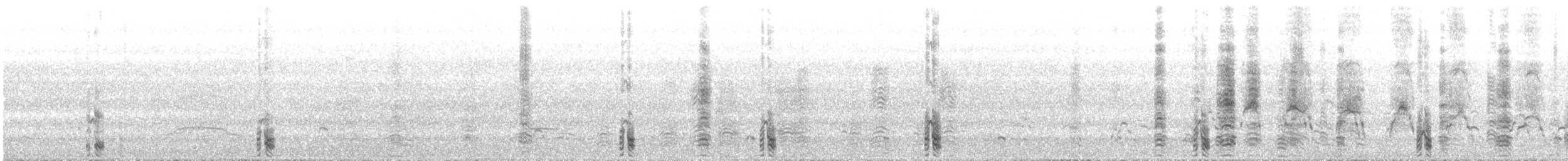 Masked Booby - ML646786645