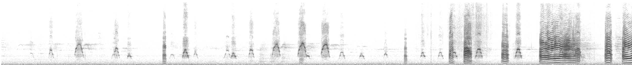 Masked Booby - ML646786649