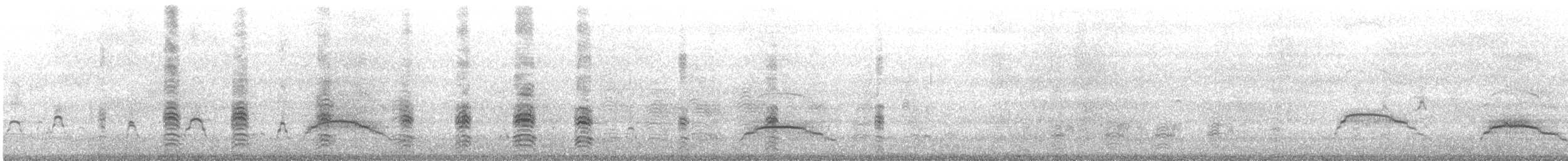 Masked Booby - ML646786650