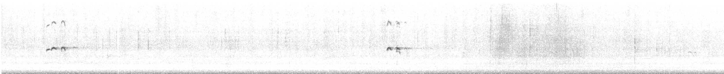 שחפית גדולה - ML646786806