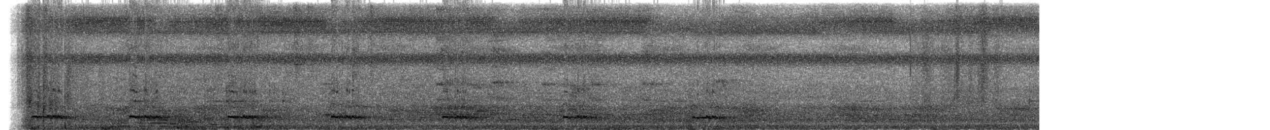 White-cheeked Barbet - ML646786953