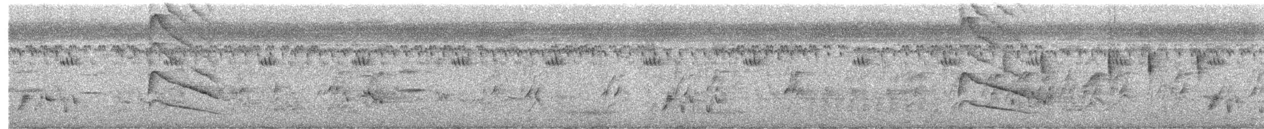 Indian Pitta - ML646787063