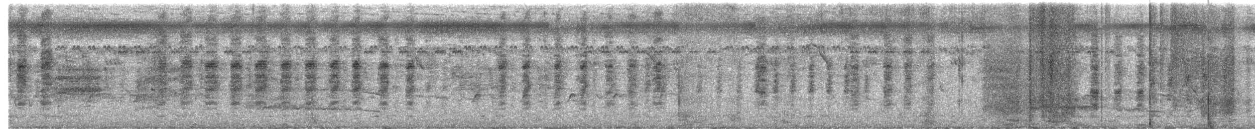 Long-tailed Shrike - ML646787121