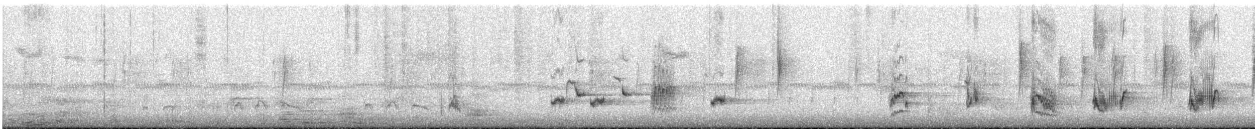 California Thrasher - ML646787335