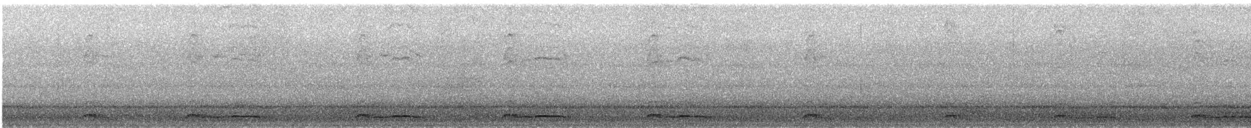 Western Screech-Owl - ML646787344