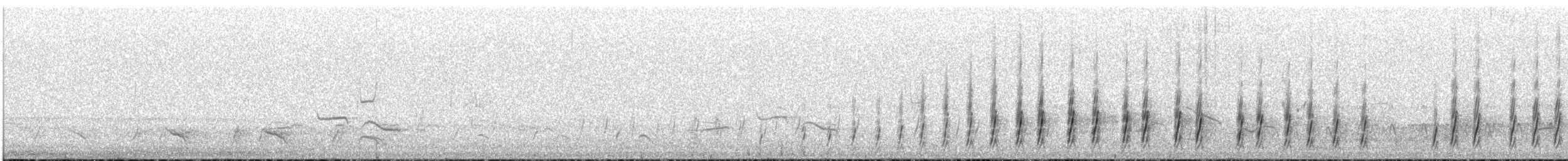 Jameson's Snipe - ML646787371