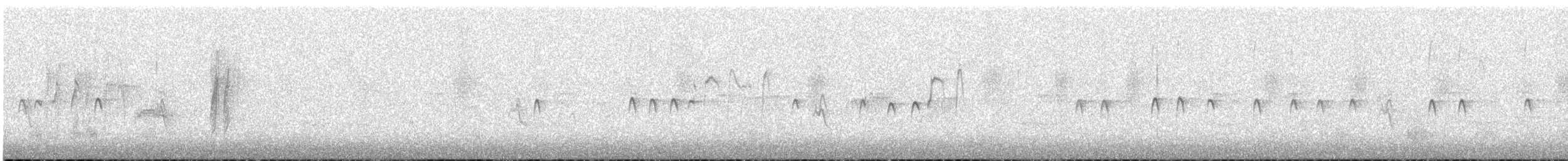 Pygmy Nuthatch - ML646787429