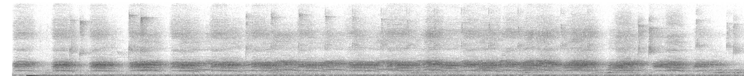 House Crow - ML646787477