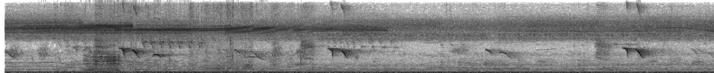 bronseibis - ML646787763