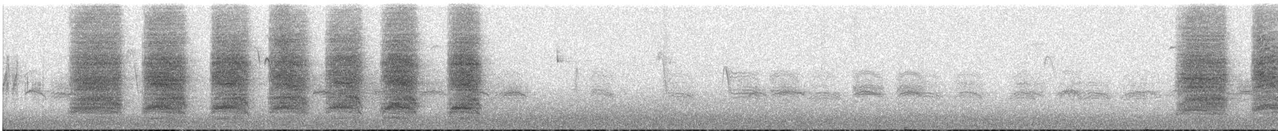 Стеллерова сойка - ML646787775