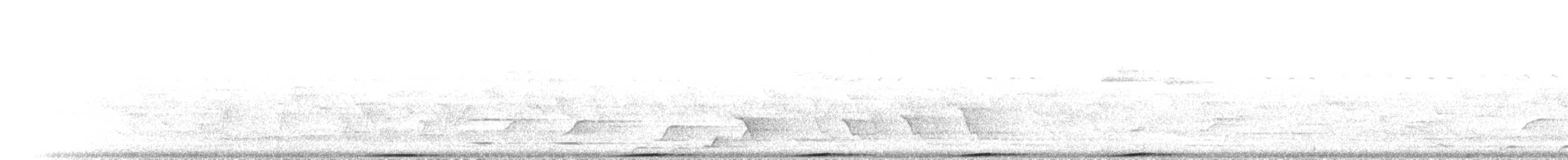 Superb Fruit-Dove - ML646787948