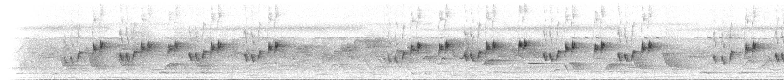 Brown Gerygone - ML646787967