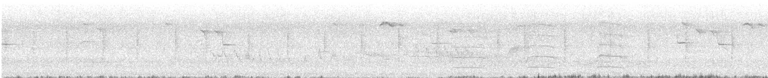 北雀鷹 - ML646787978