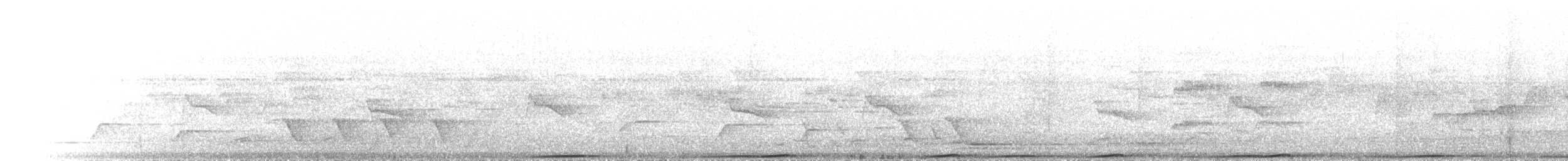 Superb Fruit-Dove - ML646787982