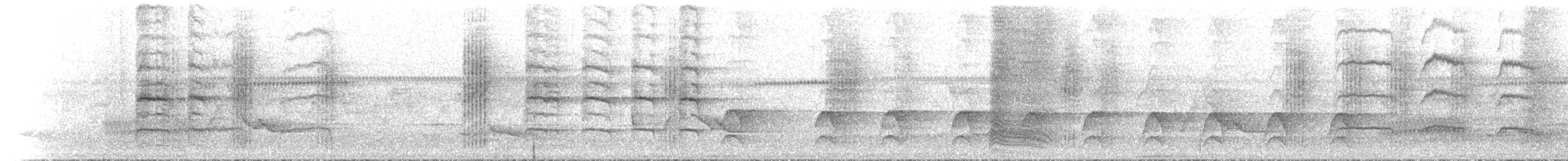 Dusky Myzomela - ML646788068