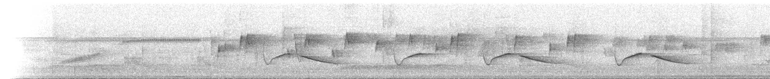 White-eared Monarch - ML646788070