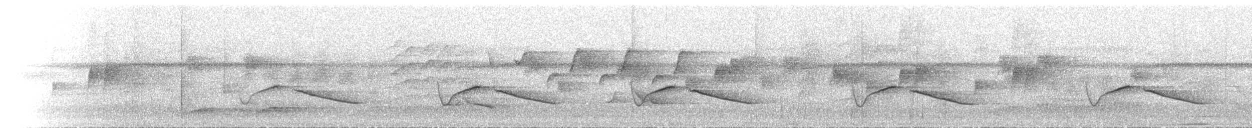 White-eared Monarch - ML646788071