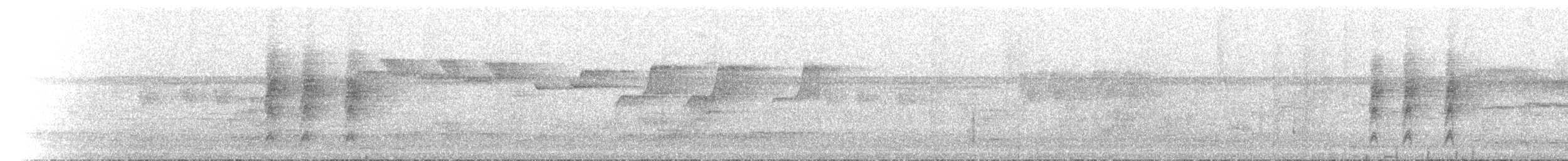 White-eared Monarch - ML646788072