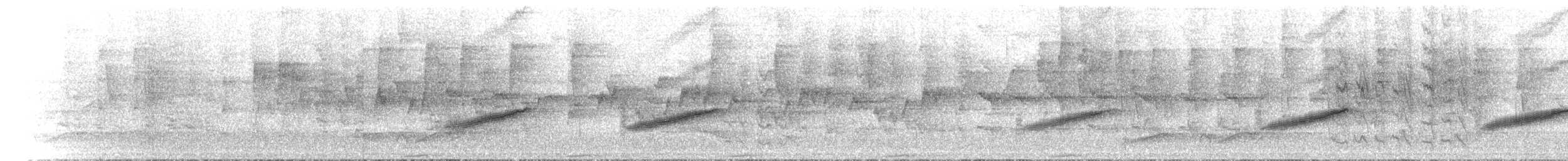 Australian Spectacled Monarch - ML646788074