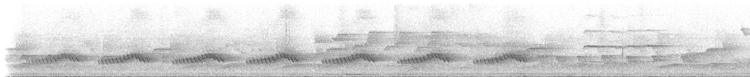 Varied Triller - ML646788086