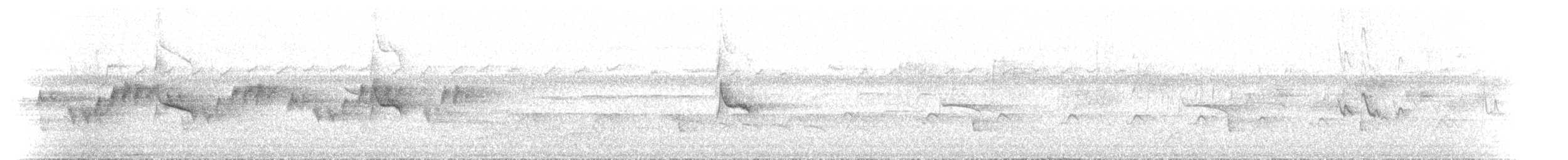 Silvereye - ML646788112