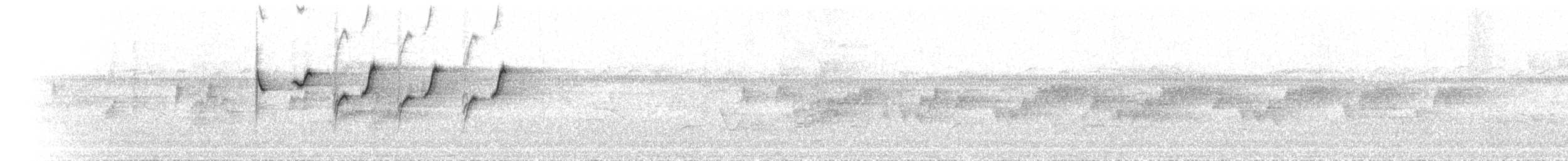 Квіткоїд австралійський - ML646788116