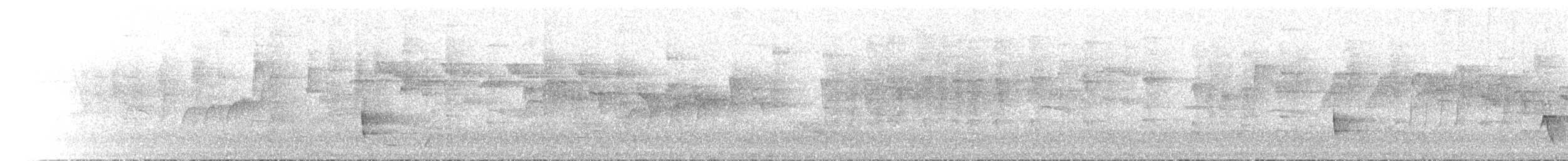 Cryptic Honeyeater - ML646788119