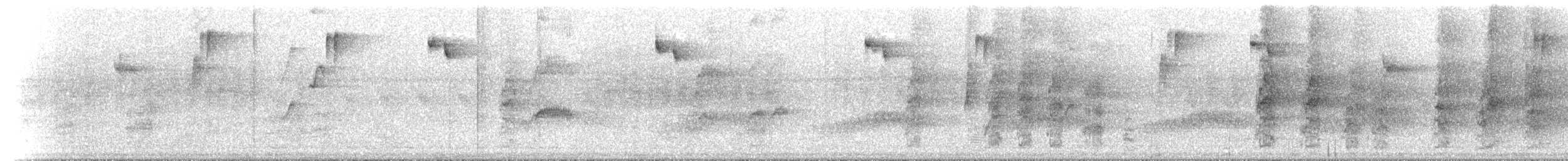 Квіткоїд австралійський - ML646788124