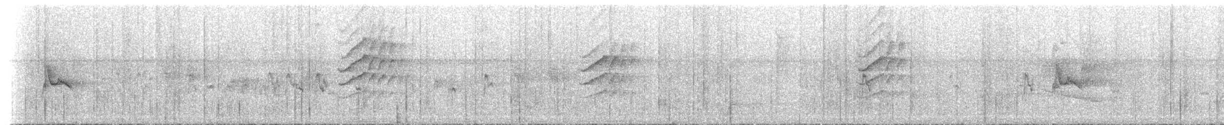 Silvereye - ML646788136