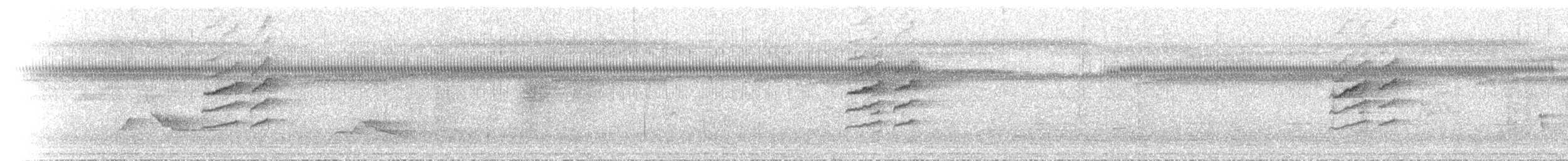 Silvereye - ML646788138