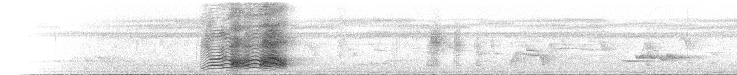 Нявкун перлистоволий - ML646788143