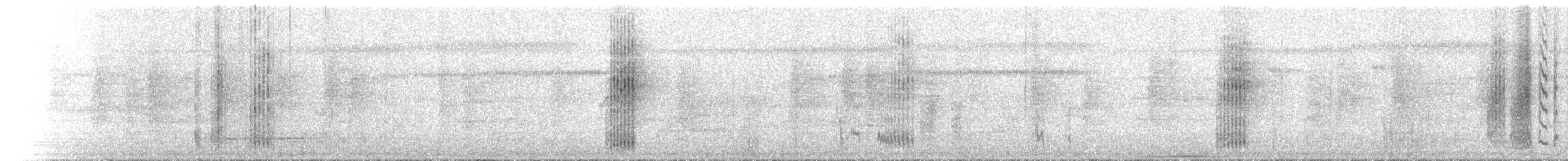 Australian Spectacled Monarch - ML646788152