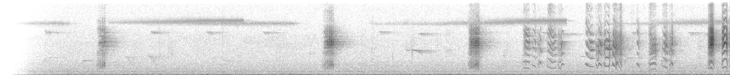 Australian Spectacled Monarch - ML646788159