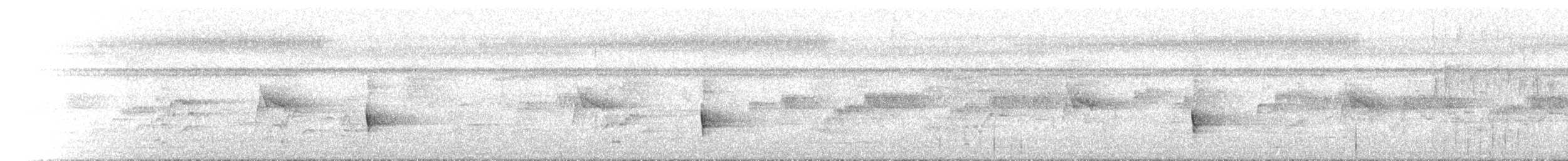 Медолюб біловухий - ML646788163