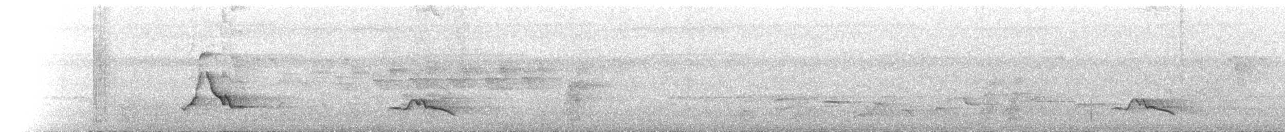 Black-faced Monarch - ML646788168