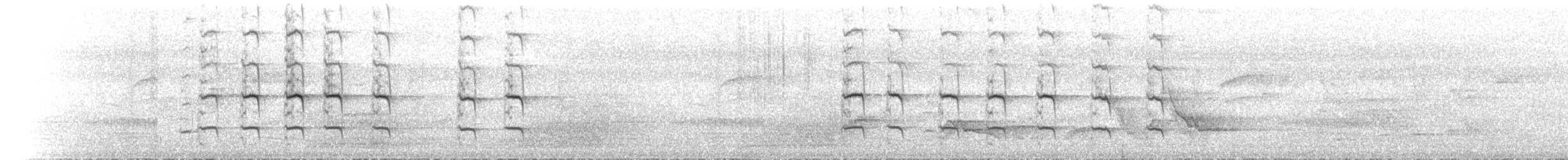 Dusky Myzomela - ML646788169