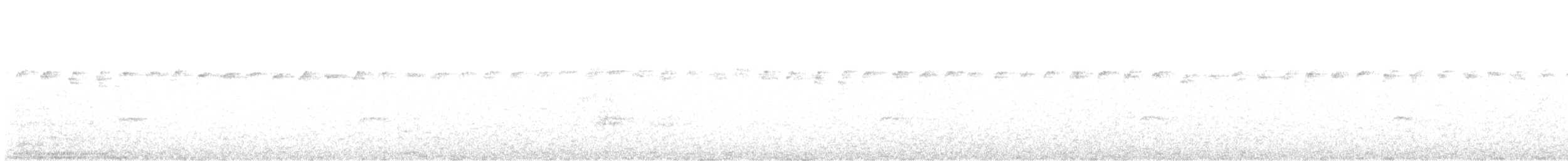 Thorn-tailed Rayadito - ML646788183