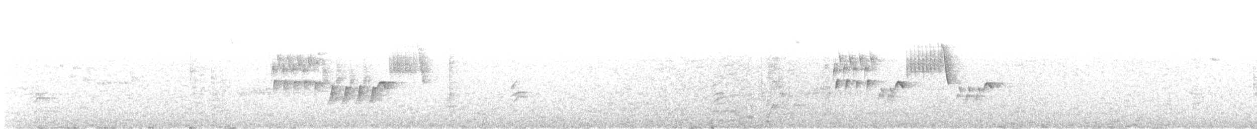 Southern House Wren - ML646788290