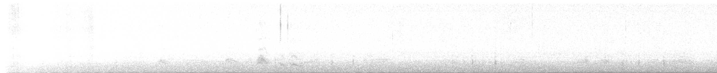 ボナパルトカモメ - ML646788436